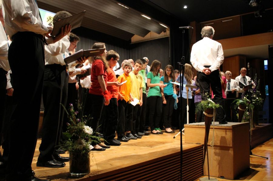 Sommerserenade_2013_095.JPG